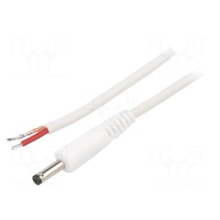 Cable | 1x1mm2 | wires,DC 4,0/1,7 plug | straight | white | 0.5m