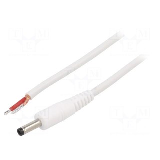 Cable | 1x1mm2 | wires,DC 4,0/1,7 plug | straight | white | 1.5m