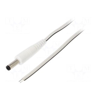 Cable | 2x0.35mm2 | wires,DC 4,8/1,7 plug | straight | white | 0.5m
