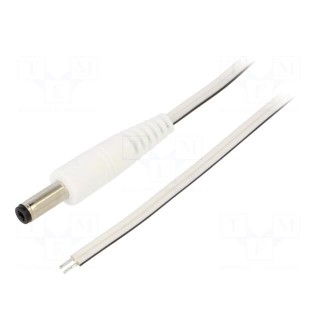 Cable | 2x0.35mm2 | wires,DC 4,8/1,7 plug | straight | white | 1.5m