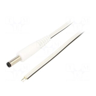 Cable | 2x0.5mm2 | wires,DC 4,8/1,7 plug | straight | white | 1.5m