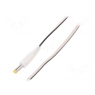 Cable | wires,DC 4,8/1,7 plug | straight | 0.5mm2 | white | 1.5m