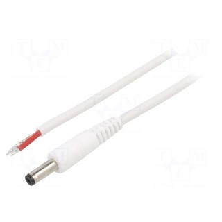 Cable | 1x1mm2 | wires,DC 4,8/1,7 plug | straight | white | 0.5m