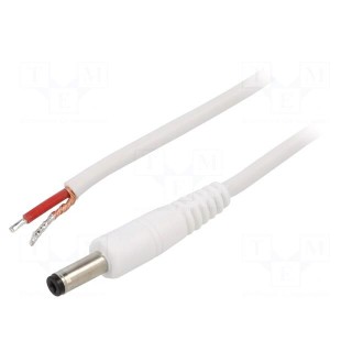 Cable | 1x1mm2 | wires,DC 4,8/1,7 plug | straight | white | 1.5m