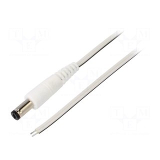 Cable | 2x0.35mm2 | wires,DC 5,5/1,7 plug | straight | white | 0.5m