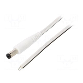 Cable | 2x0.5mm2 | wires,DC 5,5/1,7 plug | straight | white | 0.5m