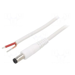 Cable | 1x1mm2 | wires,DC 5,5/1,7 plug | straight | white | 0.5m