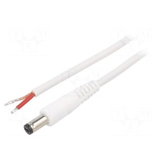 Cable | 1x1mm2 | wires,DC 5,5/1,7 plug | straight | white | 1.5m