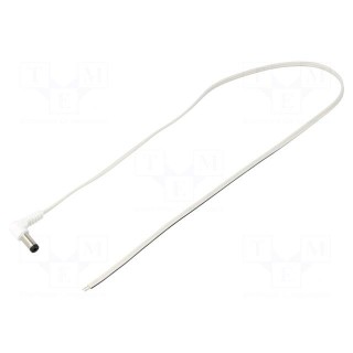 Cable | 2x0.35mm2 | wires,DC 5,5/2,1 plug | angled | white | 0.5m