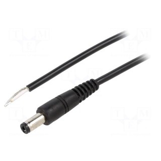 Cable | 1x0.5mm2 | wires,DC 5,5/2,1 plug | angled | black | 0.5m