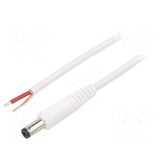 Cable | 1x1mm2 | wires,DC 5,5/2,1 plug | angled | white | 1.5m