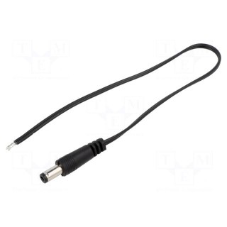 Cable | 2x0.35mm2 | wires,DC 5,5/2,1 plug | straight | black | 0.25m