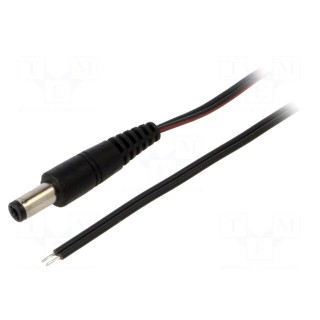Cable | 2x0.35mm2 | wires,DC 5,5/2,1 plug | straight | black | 0.5m