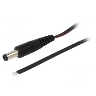 Cable | 2x0.35mm2 | wires,DC 5,5/2,1 plug | straight | black | 1.5m
