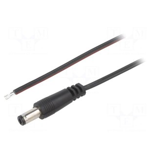 Cable | 2x0.35mm2 | wires,DC 5,5/2,1 plug | straight | black | 2m