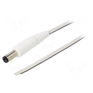 Cable | 2x0.35mm2 | wires,DC 5,5/2,1 plug | straight | white | 0.5m