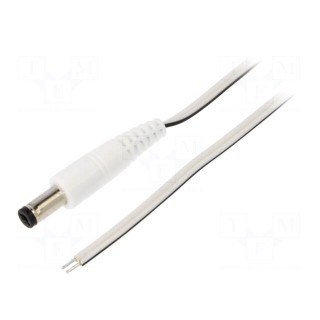 Cable | 2x0.35mm2 | wires,DC 5,5/2,1 plug | straight | white | 1.5m