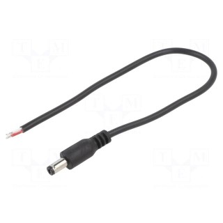 Cable | 2x0.5mm2 | wires,DC 5,5/2,1 plug | straight | black | 0.25m