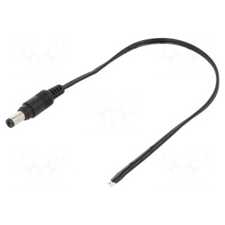 Cable | wires,DC 5,5/2,1 plug | straight | 0.5mm2 | black | 0.25m