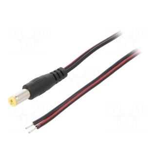 Cable | 2x0.5mm2 | wires,DC 5,5/2,1 plug | straight | black | 0.8m