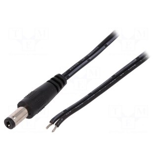 Cable | wires,DC 5,5/2,1 plug | straight | 0.5mm2 | black | 1.46m