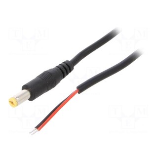 Cable | 2x0.5mm2 | wires,DC 5,5/2,1 plug | straight | black | 3m