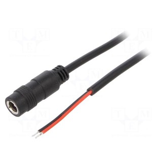 Cable | 2x0.5mm2 | wires,DC 5,5/2,1 plug | straight | black | 4m