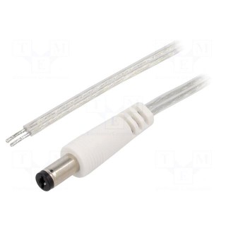Cable | 2x0.5mm2 | wires,DC 5,5/2,1 plug | straight | transparent