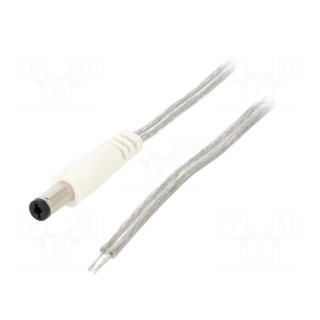Cable | 2x0.5mm2 | wires,DC 5,5/2,1 plug | straight | transparent