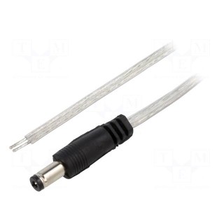 Cable | 2x0.5mm2 | wires,DC 5,5/2,1 plug | straight | transparent | 2m