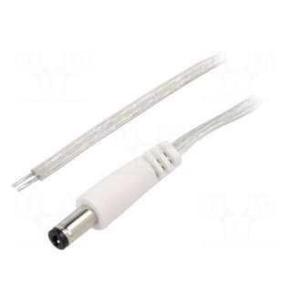 Cable | 2x0.5mm2 | wires,DC 5,5/2,1 plug | straight | transparent | 3m