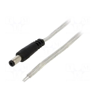 Cable | 2x0.5mm2 | wires,DC 5,5/2,1 plug | straight | transparent | 3m