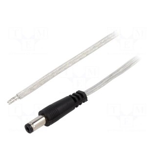 Cable | 2x0.5mm2 | wires,DC 5,5/2,1 plug | straight | transparent | 5m