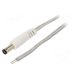 Cable | 2x0.5mm2 | wires,DC 5,5/2,1 plug | straight | transparent | 5m
