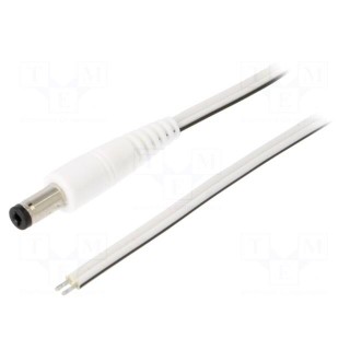Cable | 2x0.5mm2 | wires,DC 5,5/2,1 plug | straight | white | 0.5m