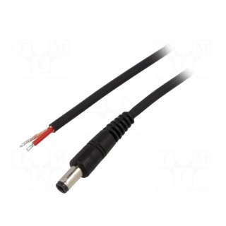 Cable | 1x1mm2 | wires,DC 5,5/2,1 plug | straight | black | 0.5m