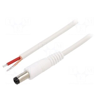 Cable | 1x1mm2 | wires,DC 5,5/2,1 plug | straight | white | 0.5m