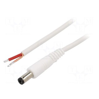 Cable | 1x1mm2 | wires,DC 5,5/2,1 plug | straight | white | 1.5m