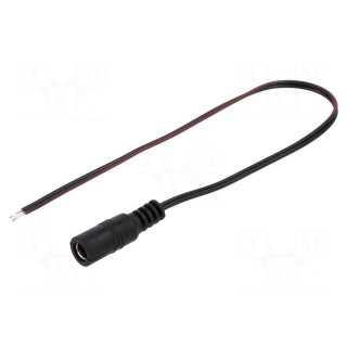 Cable | 2x0.35mm2 | wires,DC 5,5/2,1 socket | straight | black | 0.25m