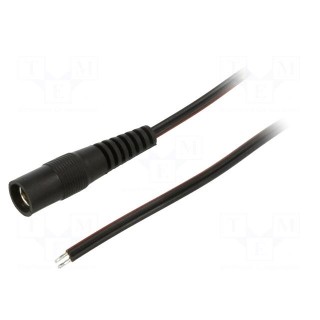 Cable | 2x0.35mm2 | wires,DC 5,5/2,1 socket | straight | black | 1.5m