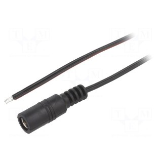 Cable | 2x0.35mm2 | wires,DC 5,5/2,1 socket | straight | black | 2m