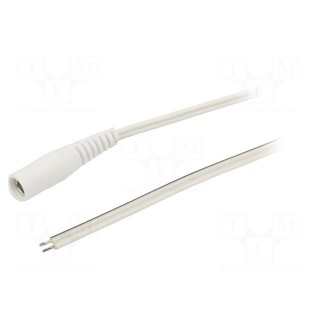 Cable | 2x0.35mm2 | wires,DC 5,5/2,1 socket | straight | white | 1.5m
