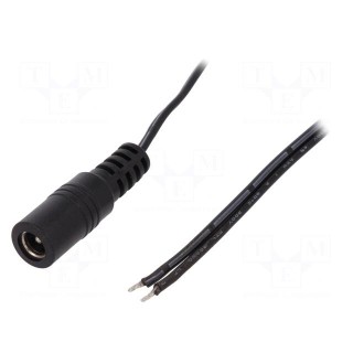 Cable | wires,DC 5,5/2,1 socket | straight | 0.5mm2 | black | 0.23m