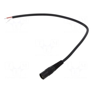 Cable | 2x0.5mm2 | wires,DC 5,5/2,1 socket | straight | black | 0.25m