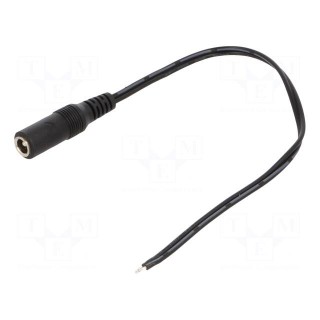 Cable | 2x0.5mm2 | wires,DC 5,5/2,1 socket | straight | black | 0.25m
