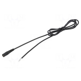 Cable | 1x0.75mm2 | wires,DC 5,5/2,5 socket | straight | black | 2m