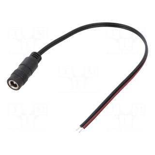 Cable | 2x0.5mm2 | wires,DC 5,5/2,1 socket | straight | black | 0.2m