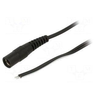 Cable | 2x0.5mm2 | wires,DC 5,5/2,1 socket | straight | black | 0.5m