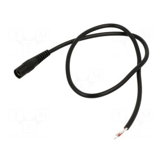 Cable | 2x0.5mm2 | wires,DC 5,5/2,1 socket | straight | black | 0.5m