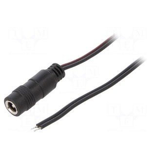 Cable | 2x0.5mm2 | wires,DC 5,5/2,1 socket | straight | black | 0.8m